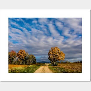 Autumn in Rural North East Italy Posters and Art